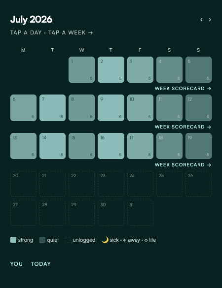 The journal month grid — a year of weeks at a glance.